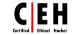 Certified ethical hacker logo