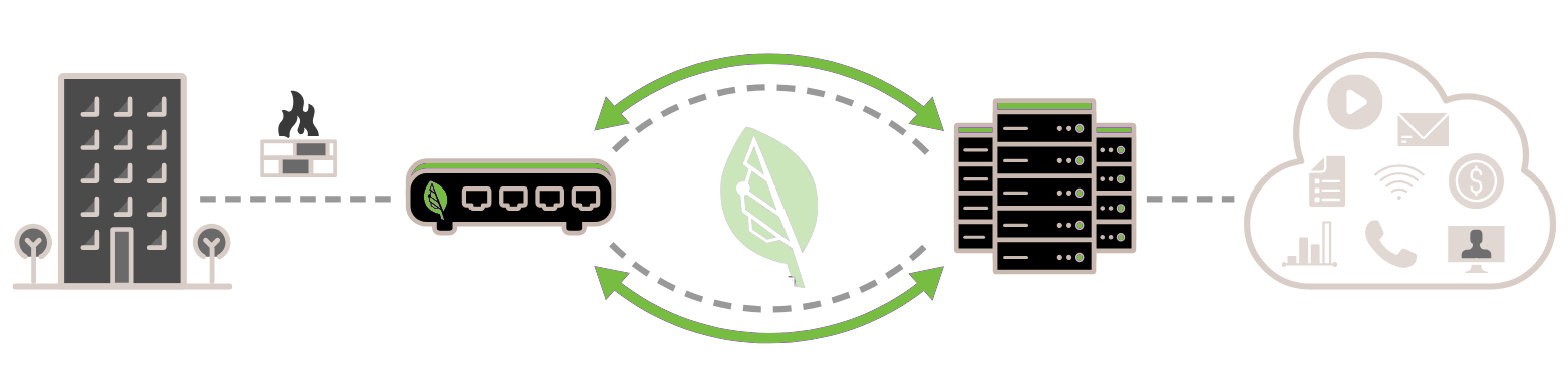 Bigleaf tunnel graphic